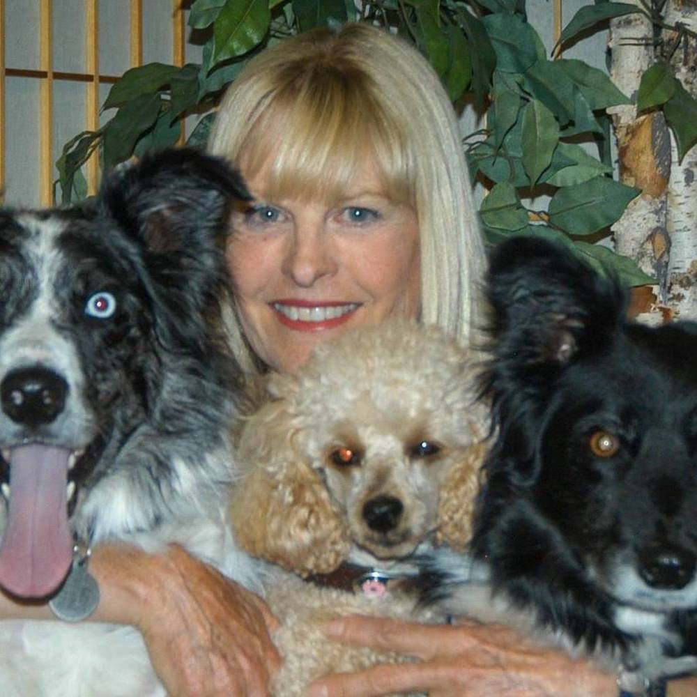 Meet your Posher, Susan